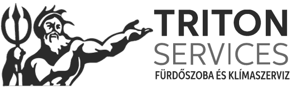 Triton Services